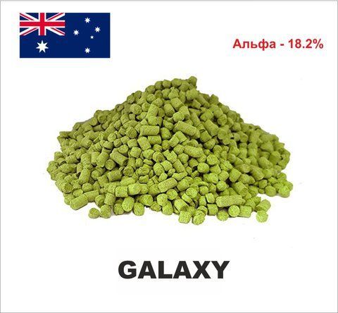 Хміль Galaxy NZ Hops Нова Зеландія 2023 100г. 2020416-1 фото